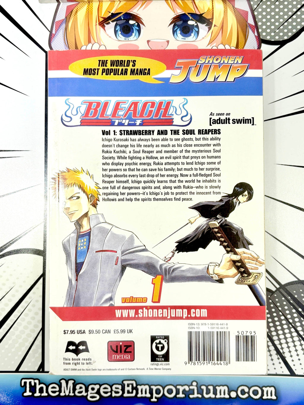 Bleach Vol 1 - 