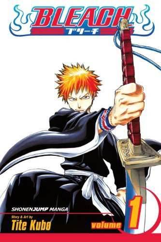 Bleach Vol 1 - 