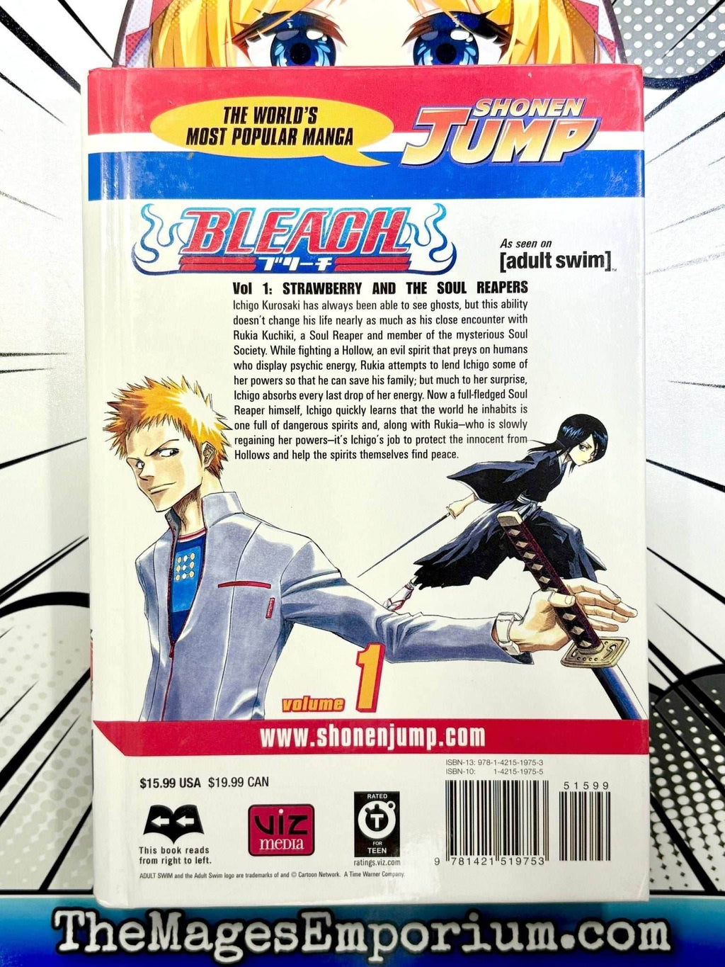 Bleach Vol 1 Hardcover - 