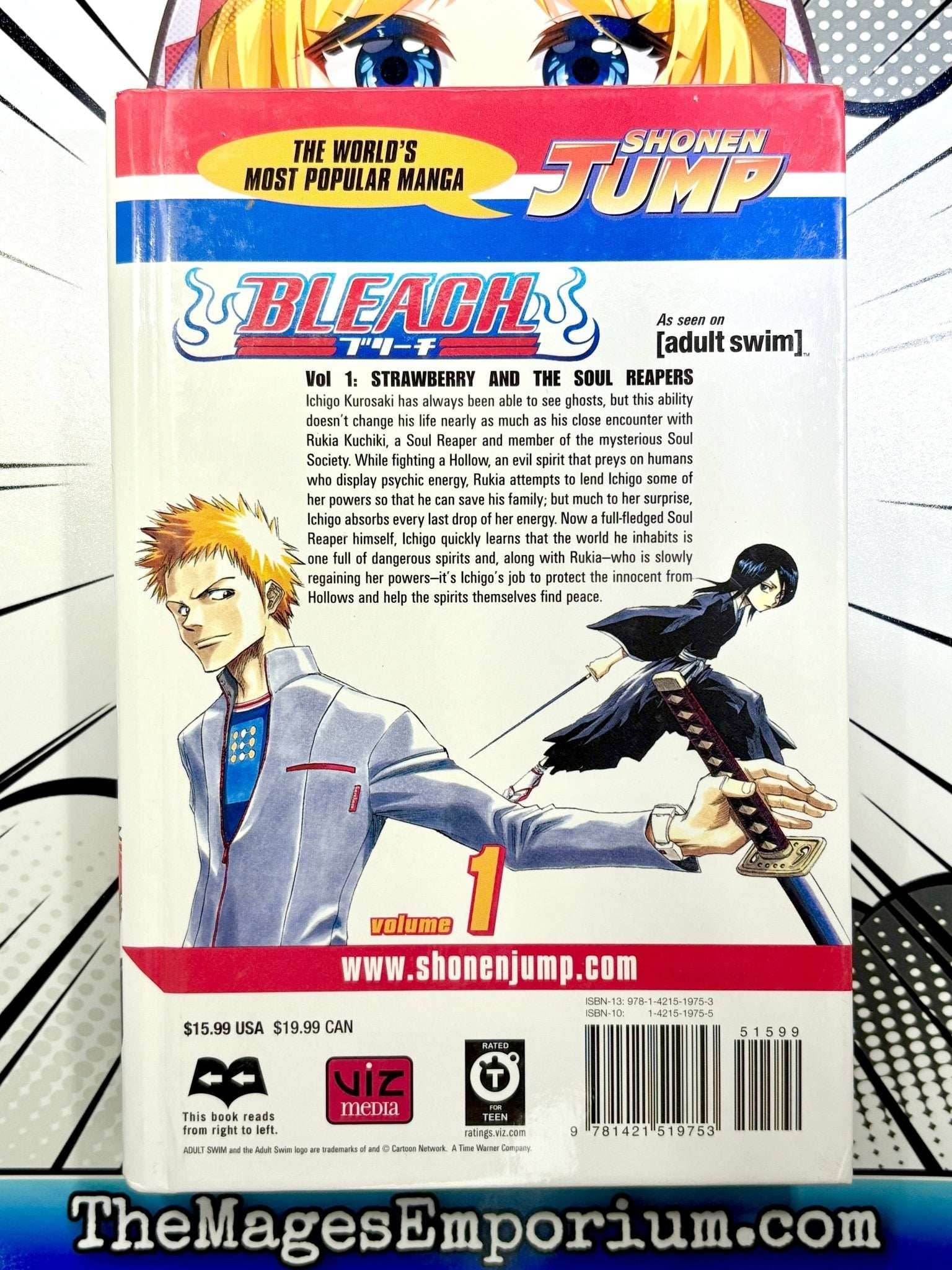 Bleach Vol 1 Hardcover - 