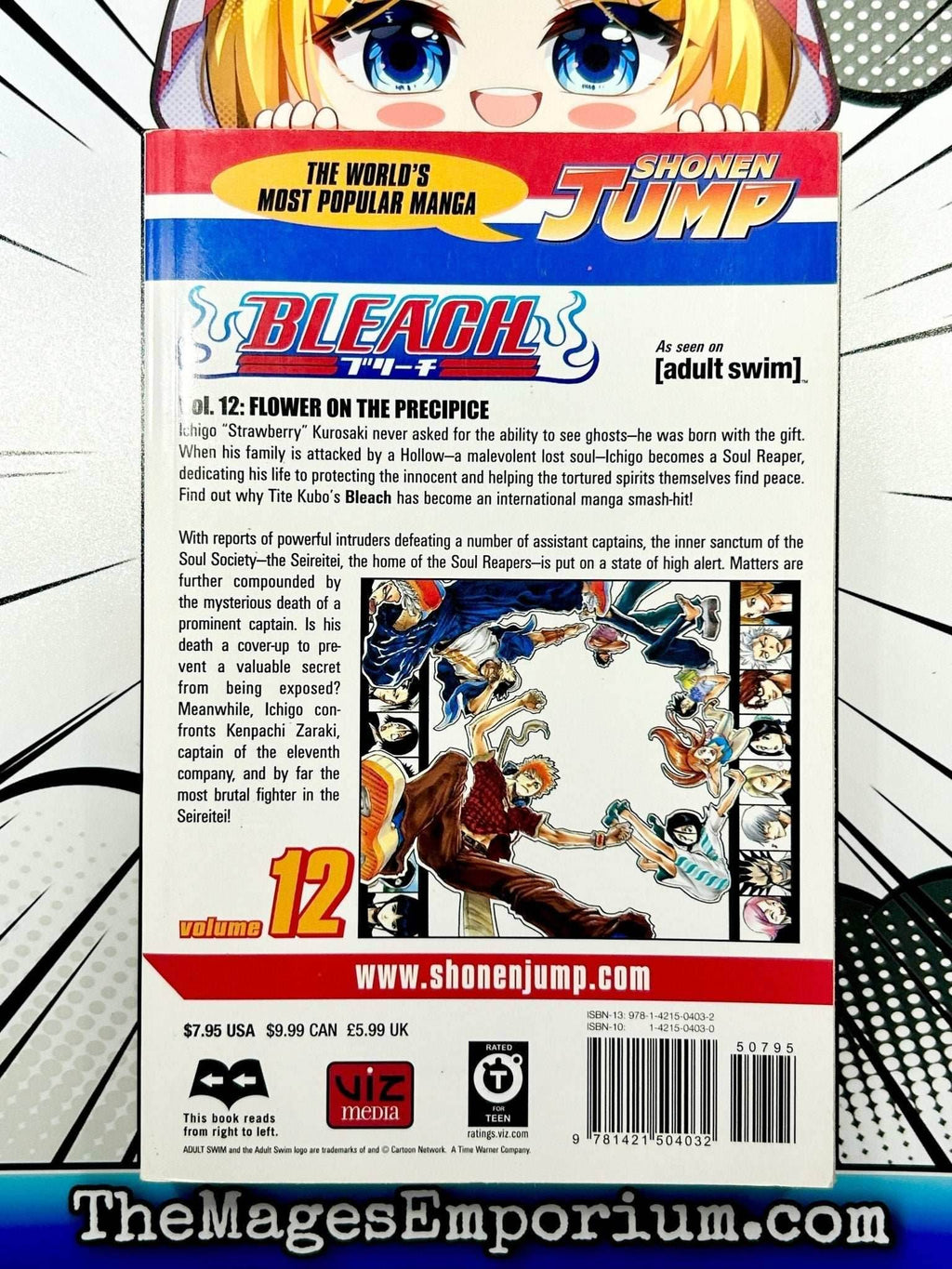 Bleach Vol 12 - 
