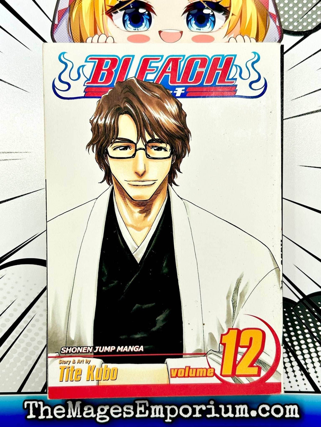 Bleach Vol 12 - 