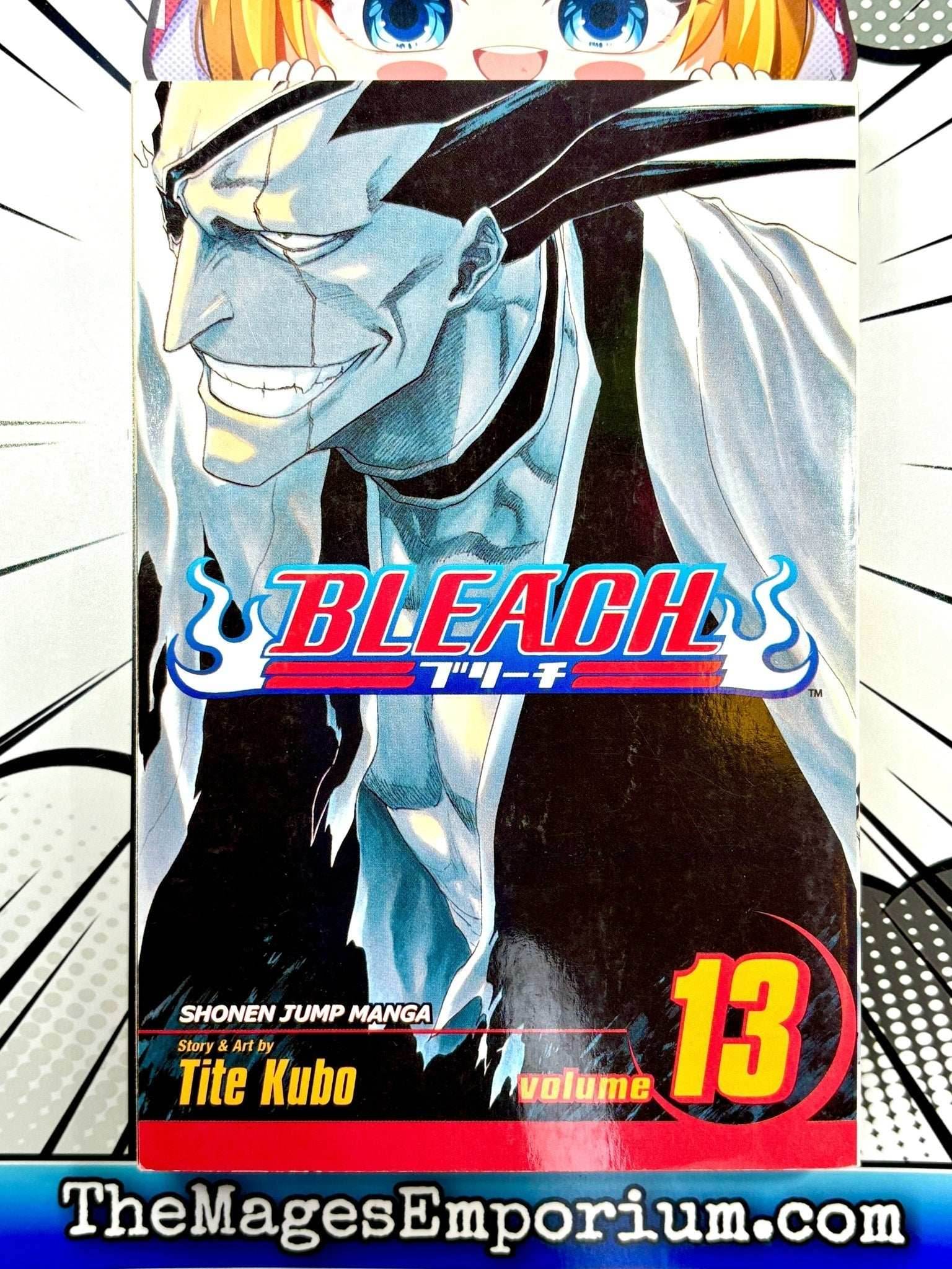 Bleach Vol 13 - 