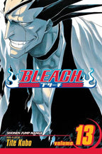 Bleach Vol 13 - 
