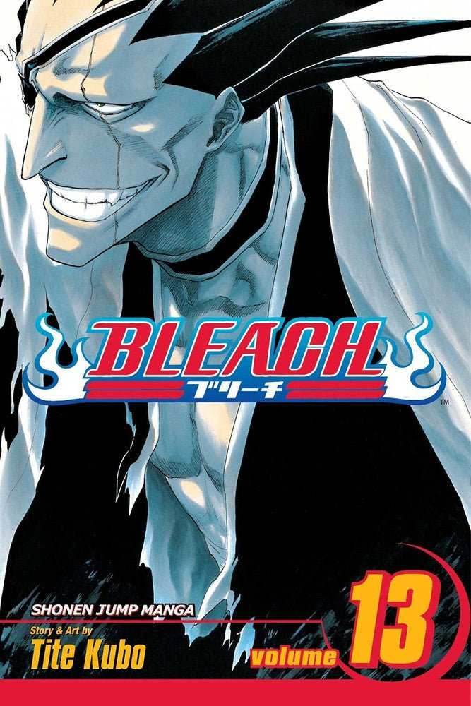 Bleach Vol 13 - 