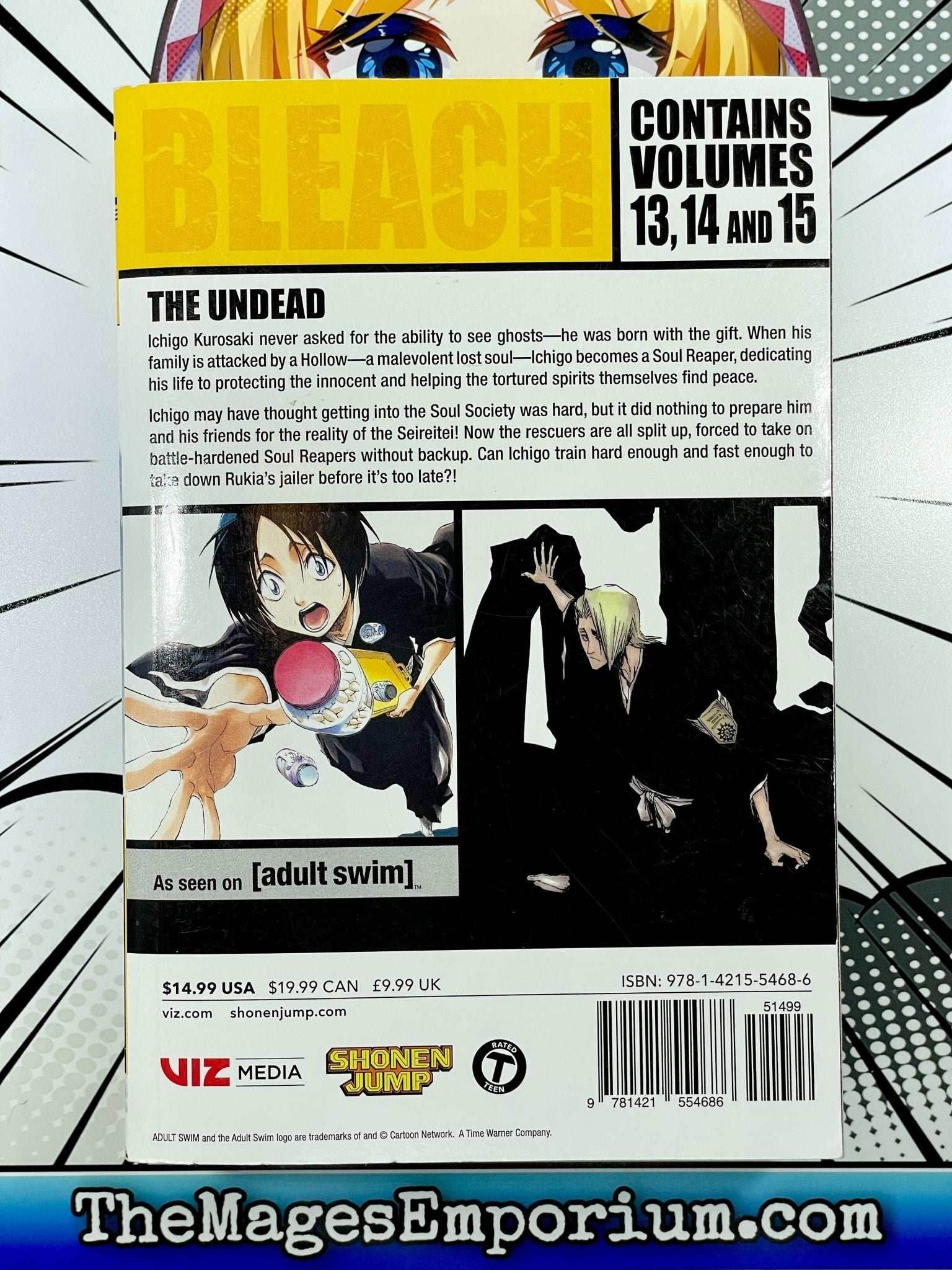Bleach Vol 13-15 Omnibus - 