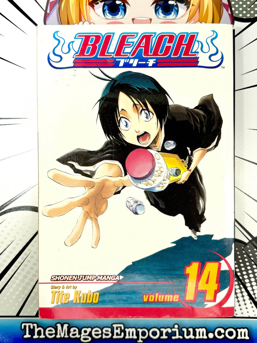 Bleach Vol 14 - 