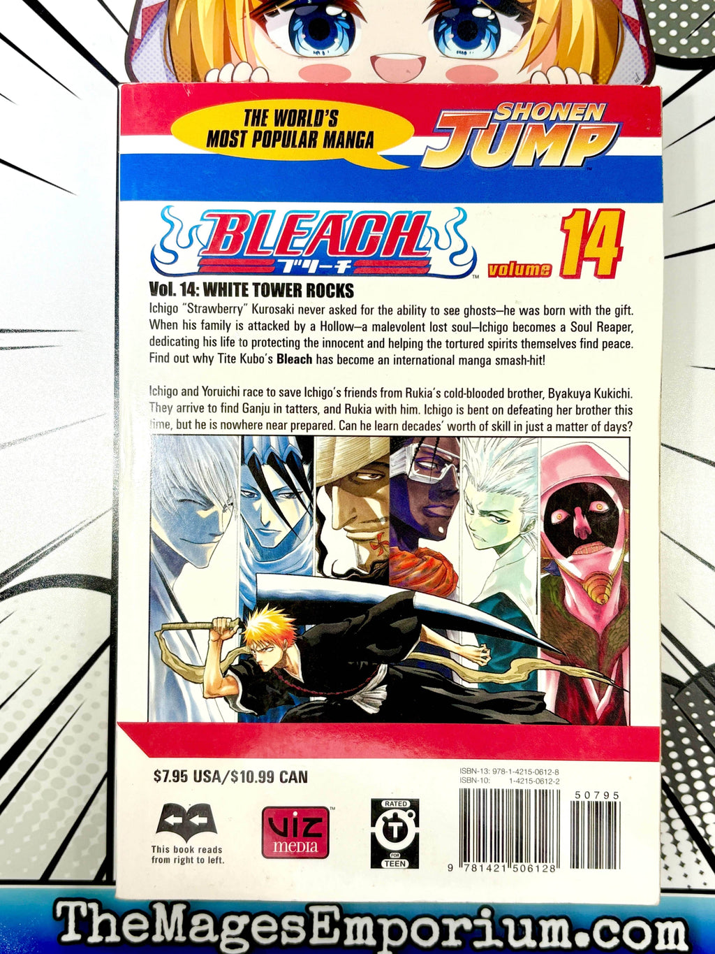 Bleach Vol 14 - 