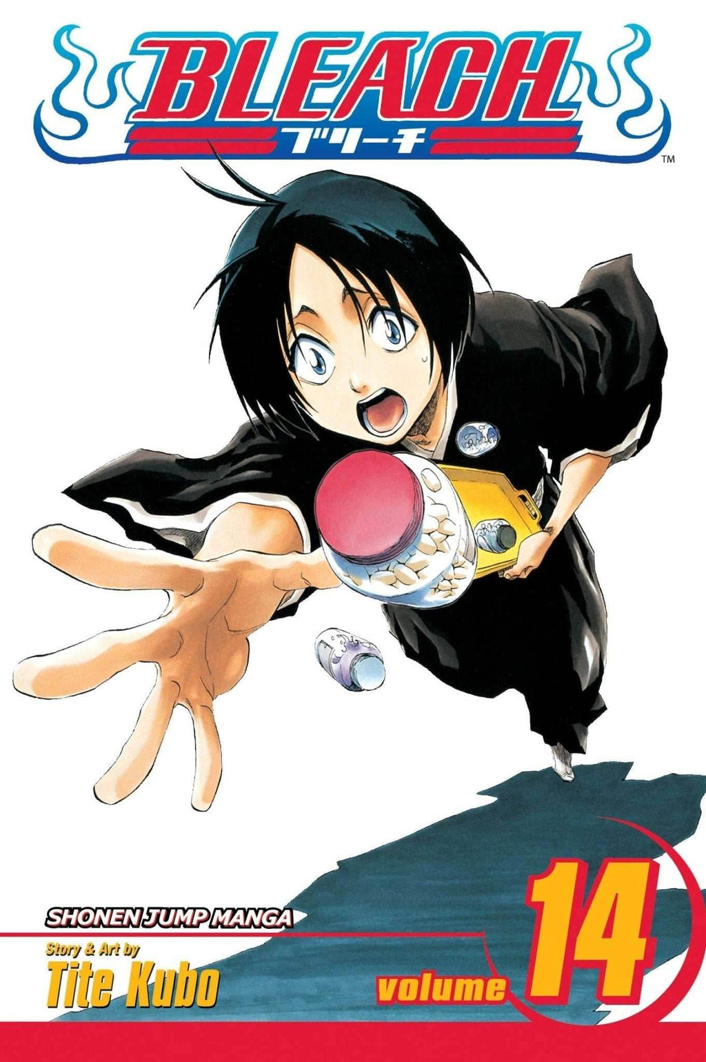 Bleach Vol 14 - 