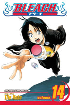 Bleach Vol 14 - 