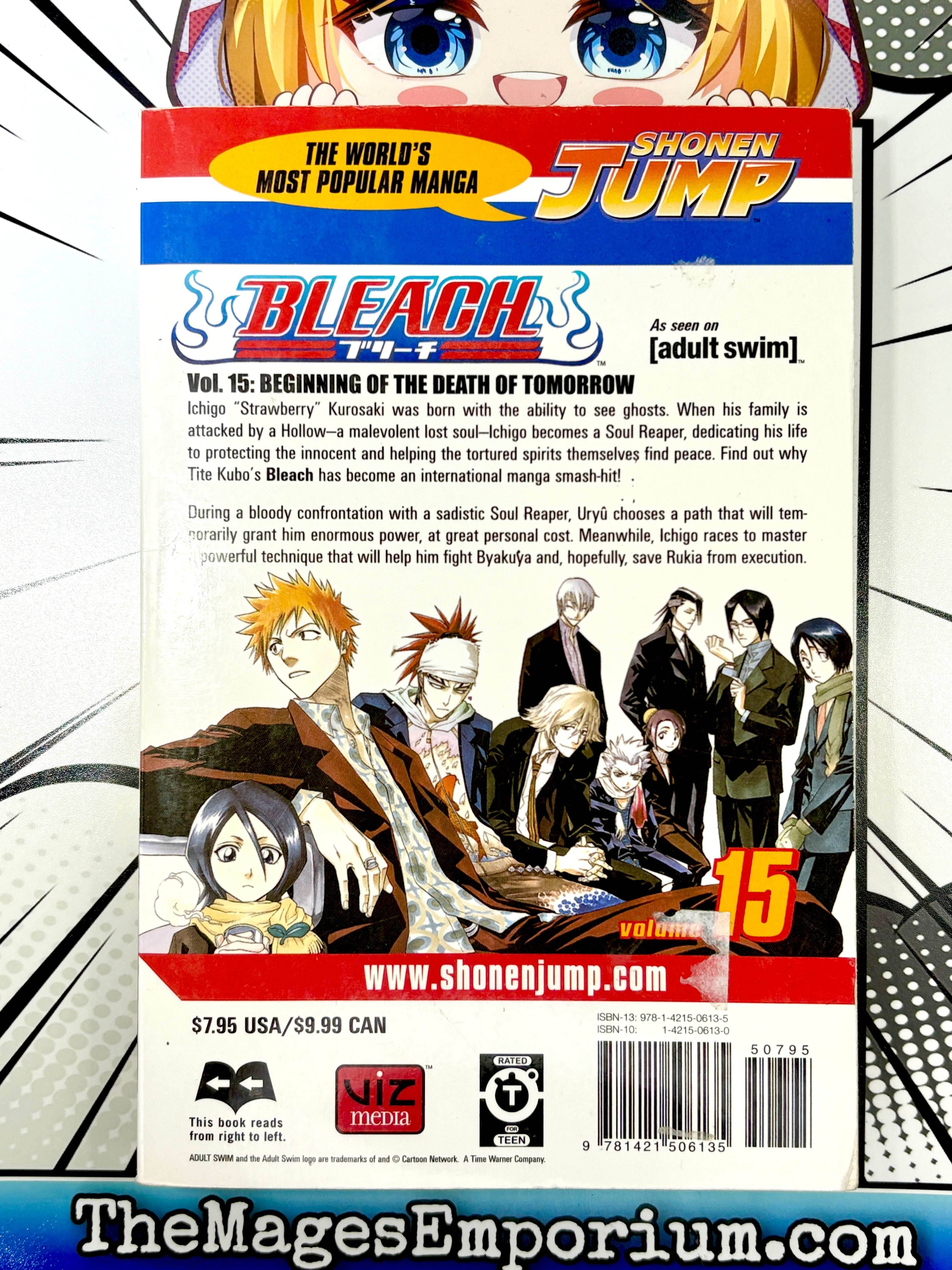 Bleach Vol 15 - 