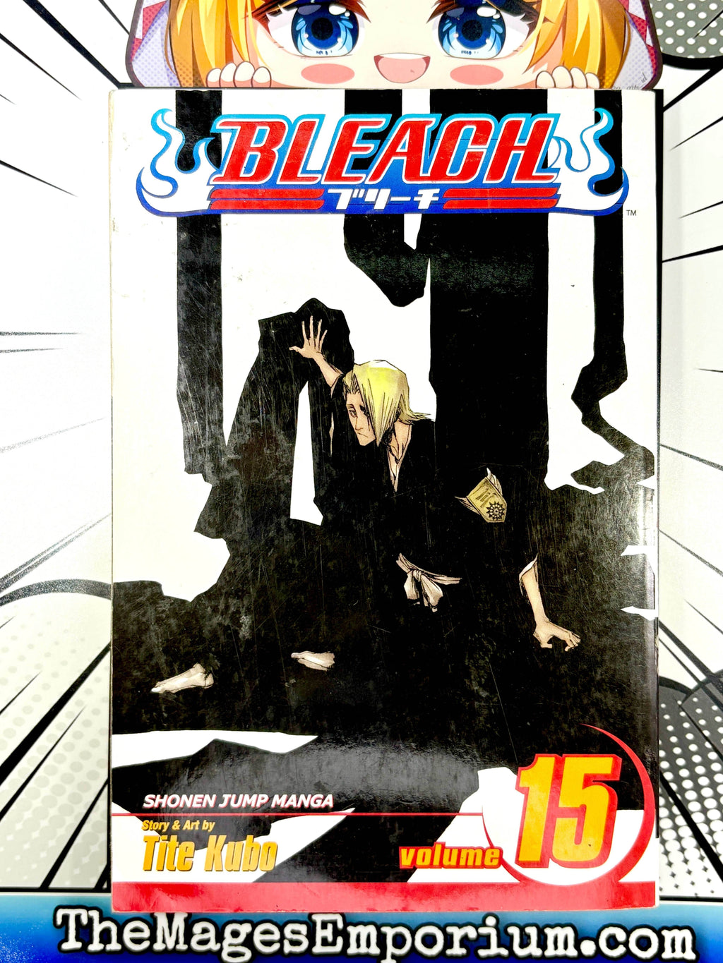 Bleach Vol 15 - 