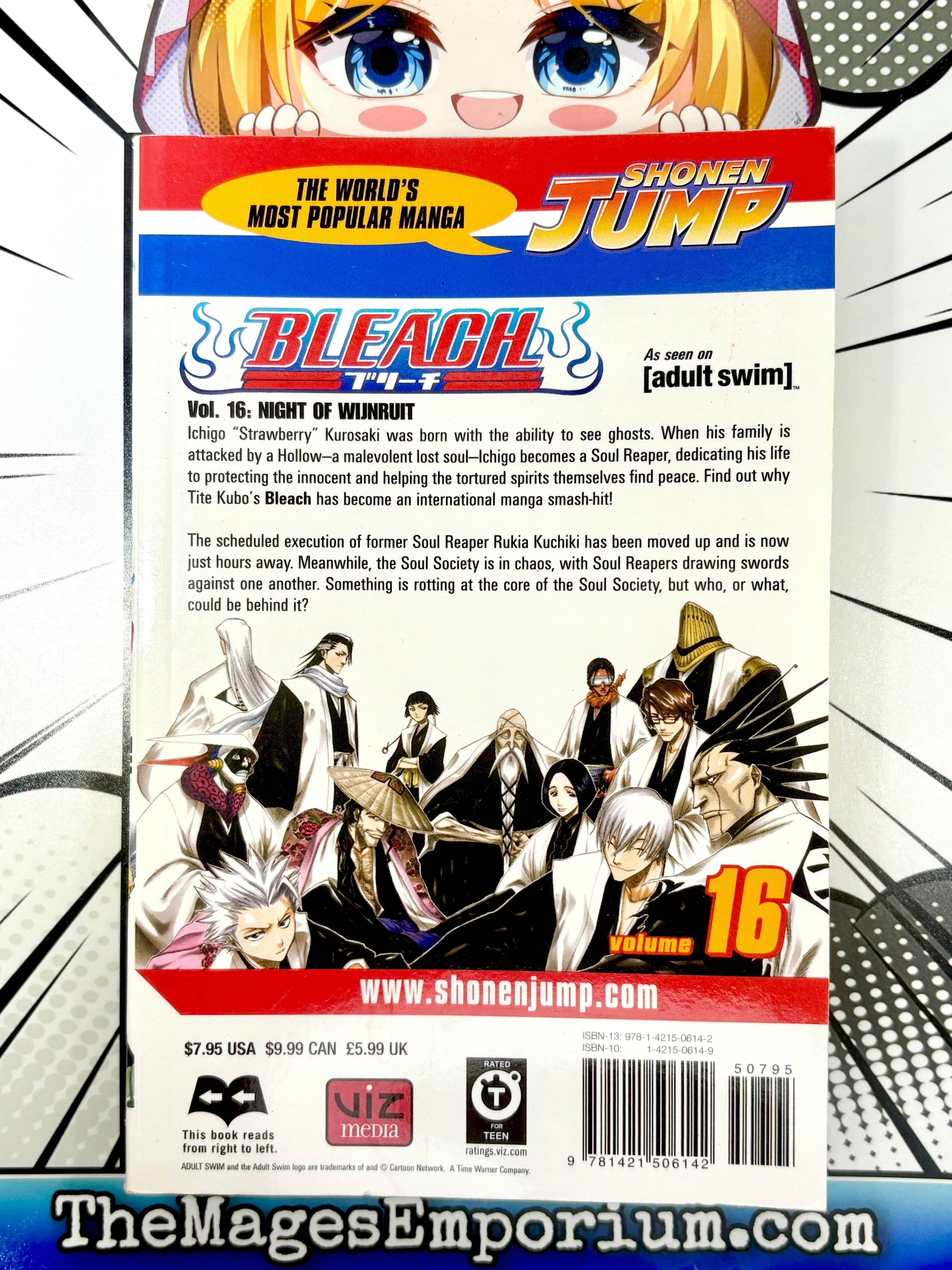 Bleach Vol 16 - 