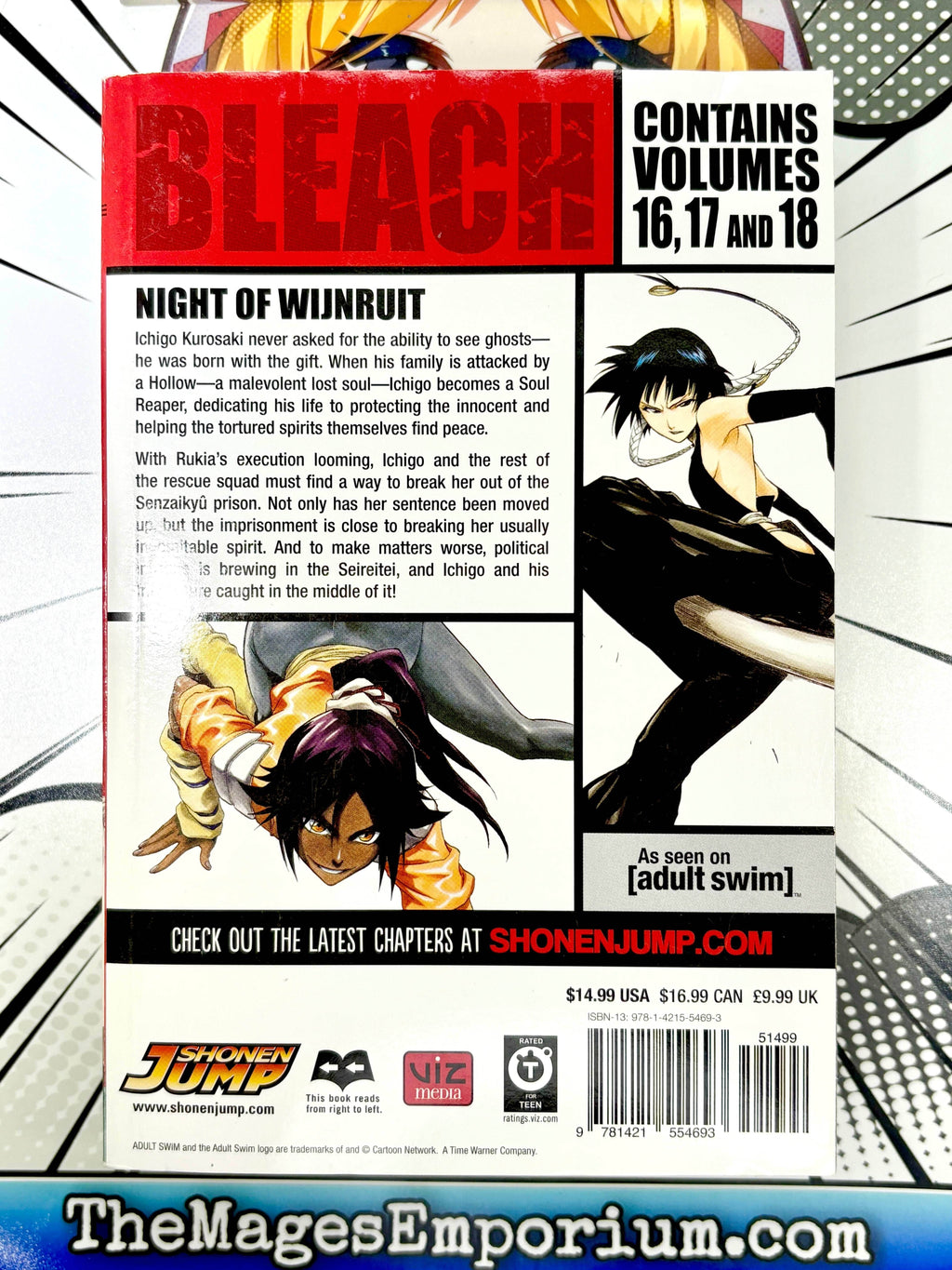 Bleach Vol 16-18 Omnibus - 