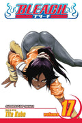 Bleach Vol 17 - 