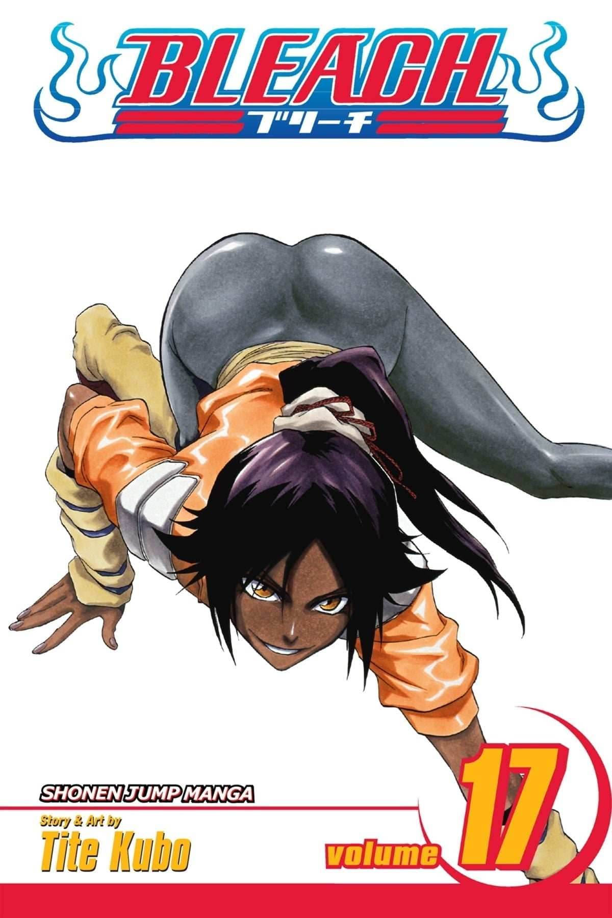 Bleach Vol 17 - 