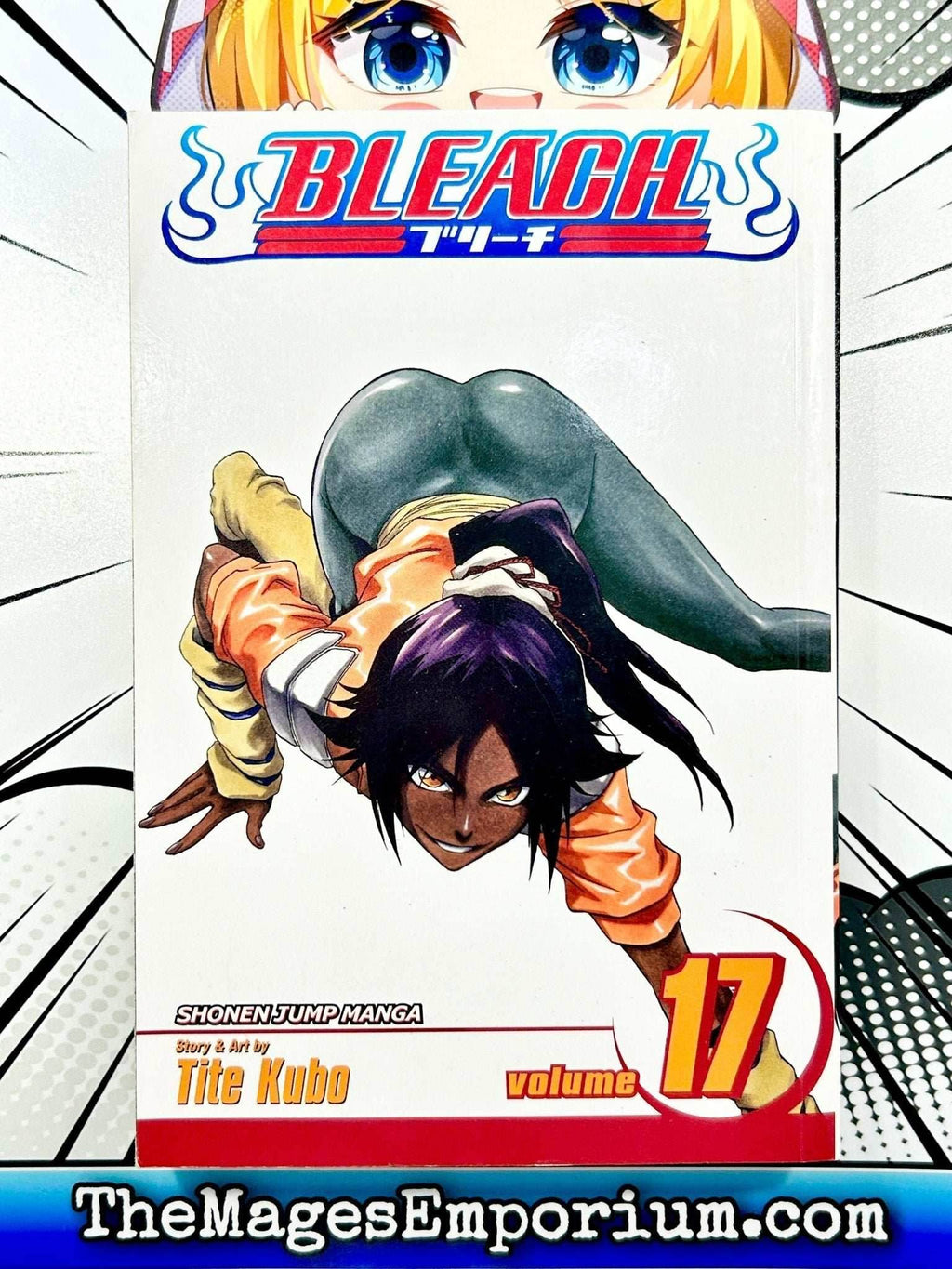 Bleach Vol 17 - 