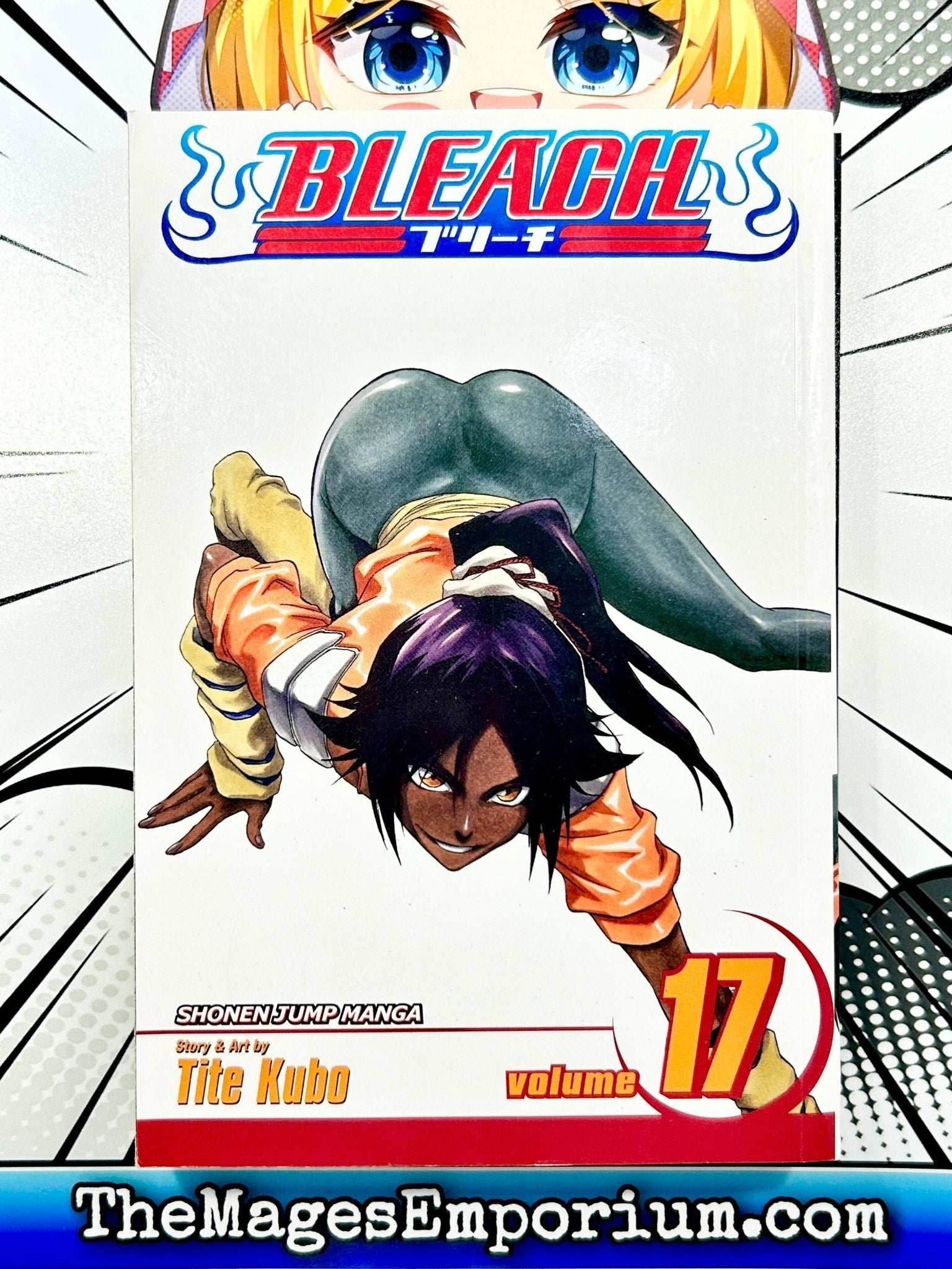 Bleach Vol 17 - 