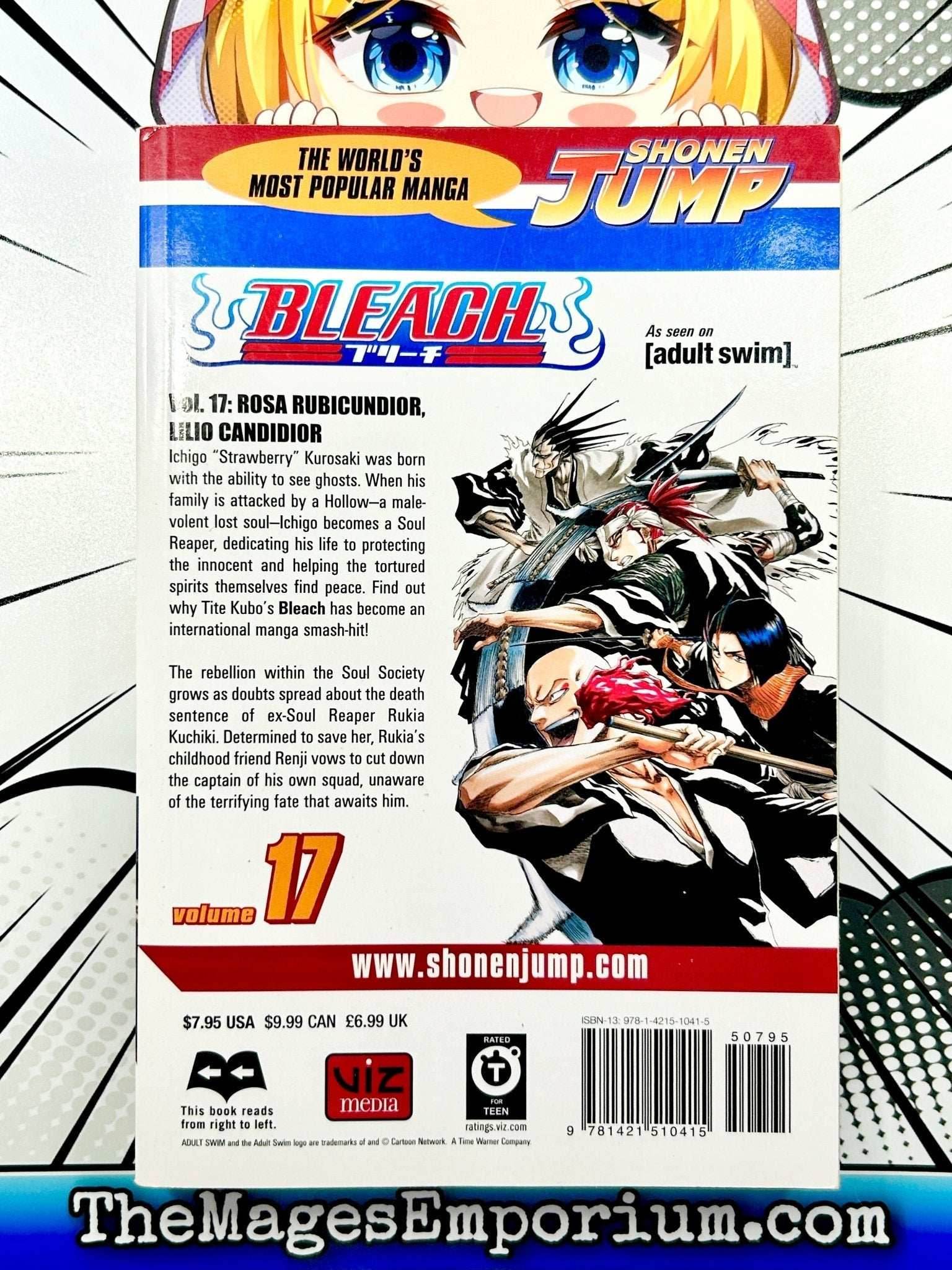 Bleach Vol 17 - 