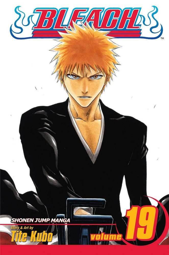 Bleach Vol 19 - 