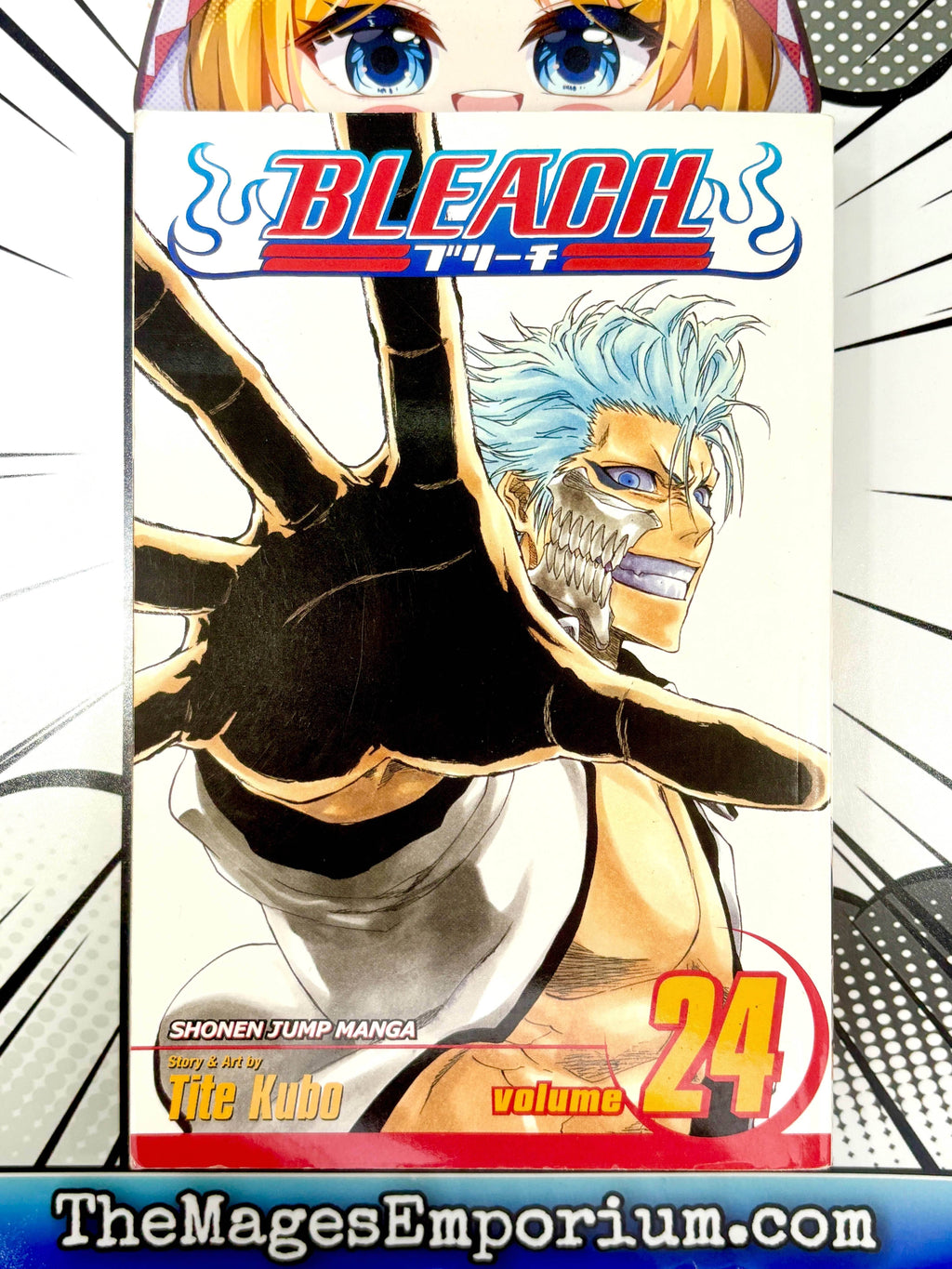 Bleach Vol 24 - 