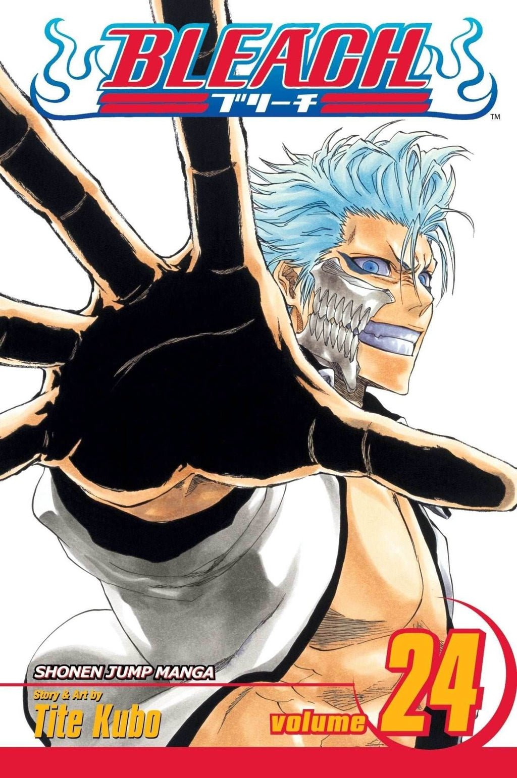 Bleach Vol 24 - 