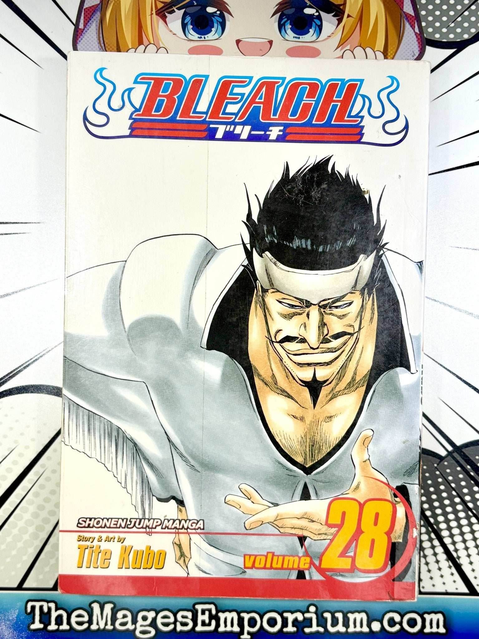 Bleach Vol 28 Ex Library - 