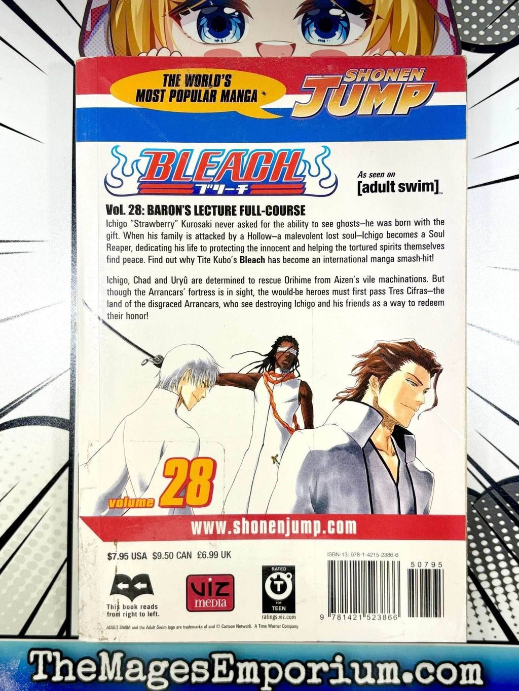 Bleach Vol 28 Ex Library - 