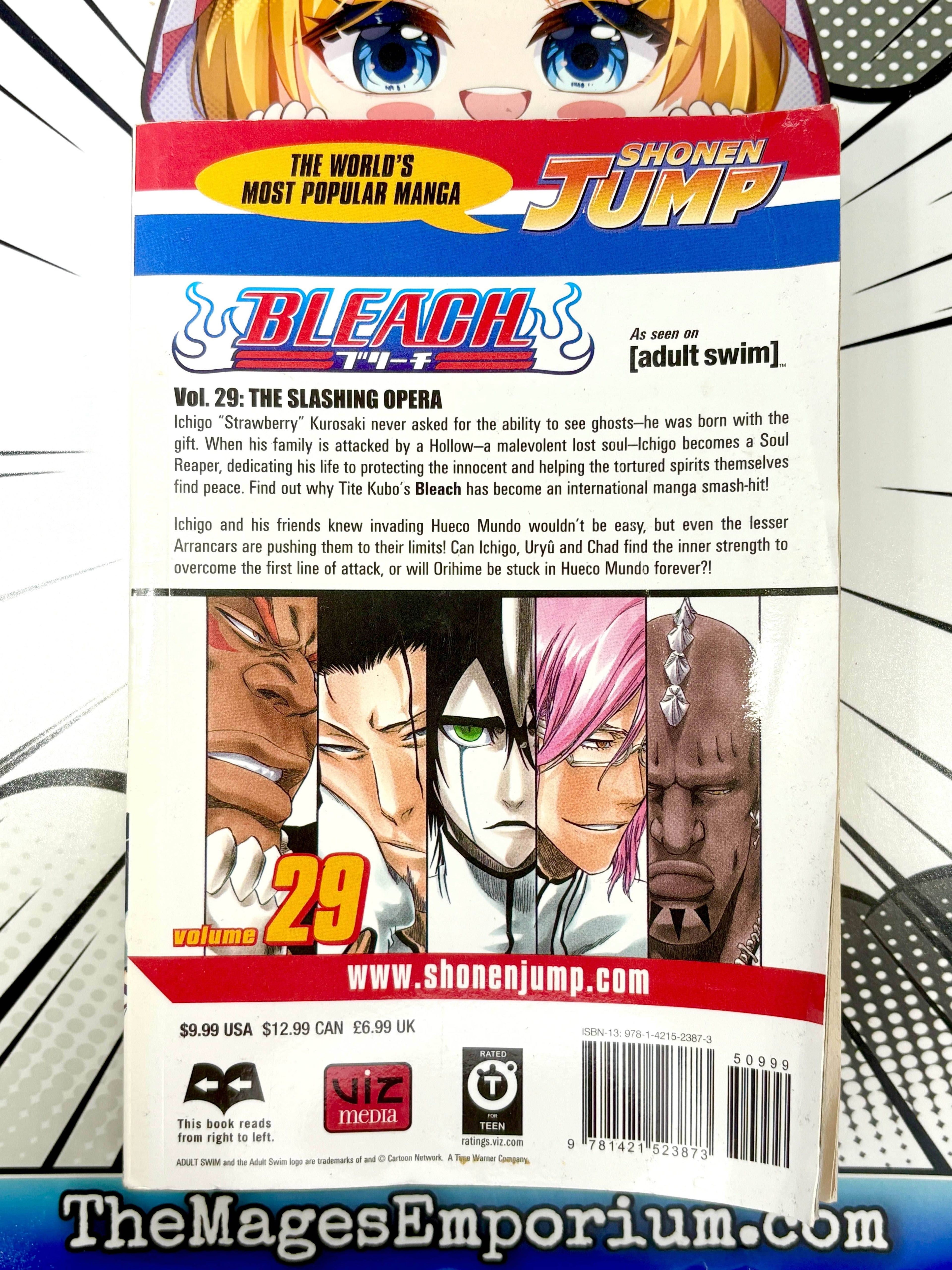 Bleach Vol 29 - 