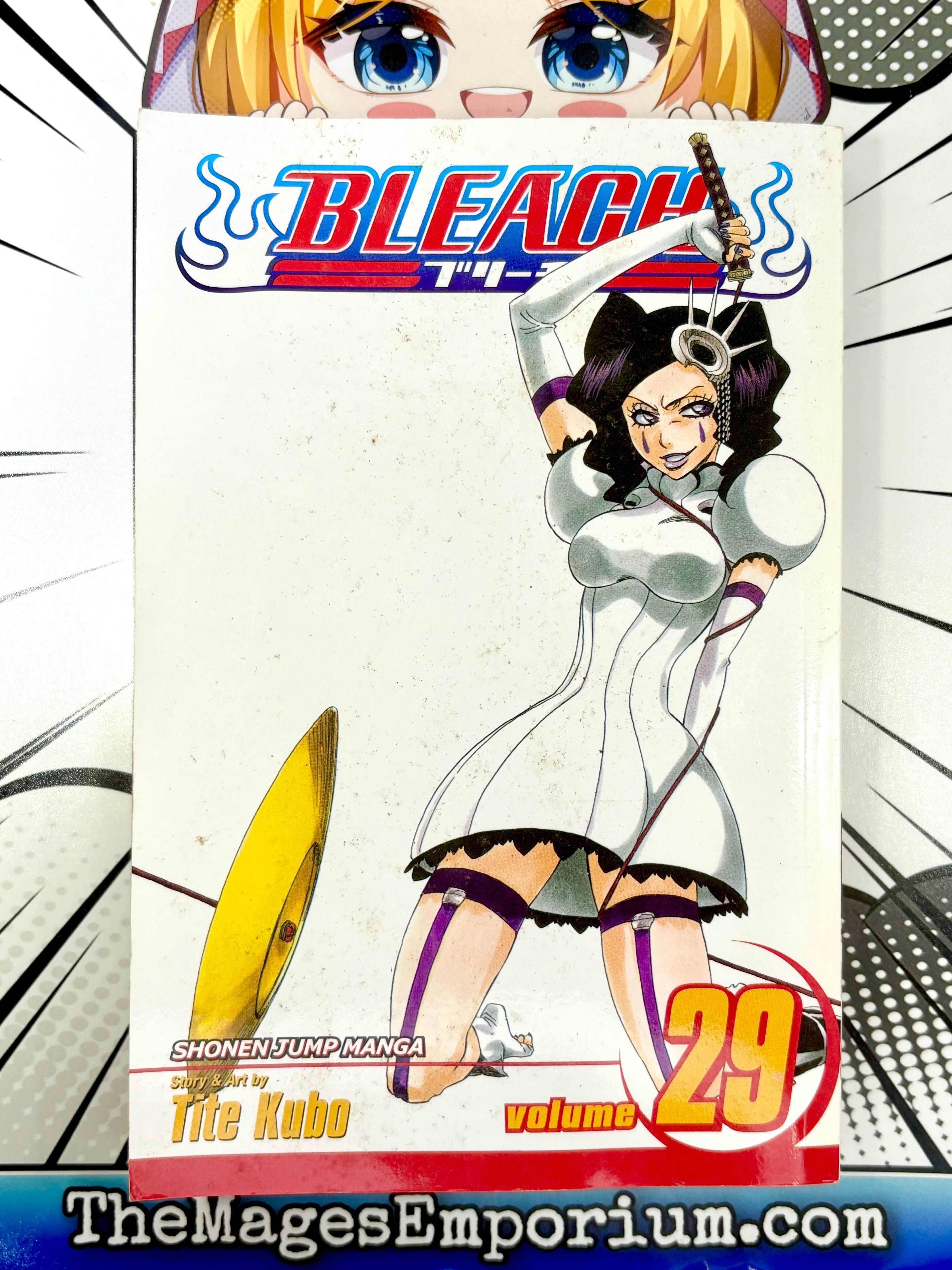 Bleach Vol 29 - 
