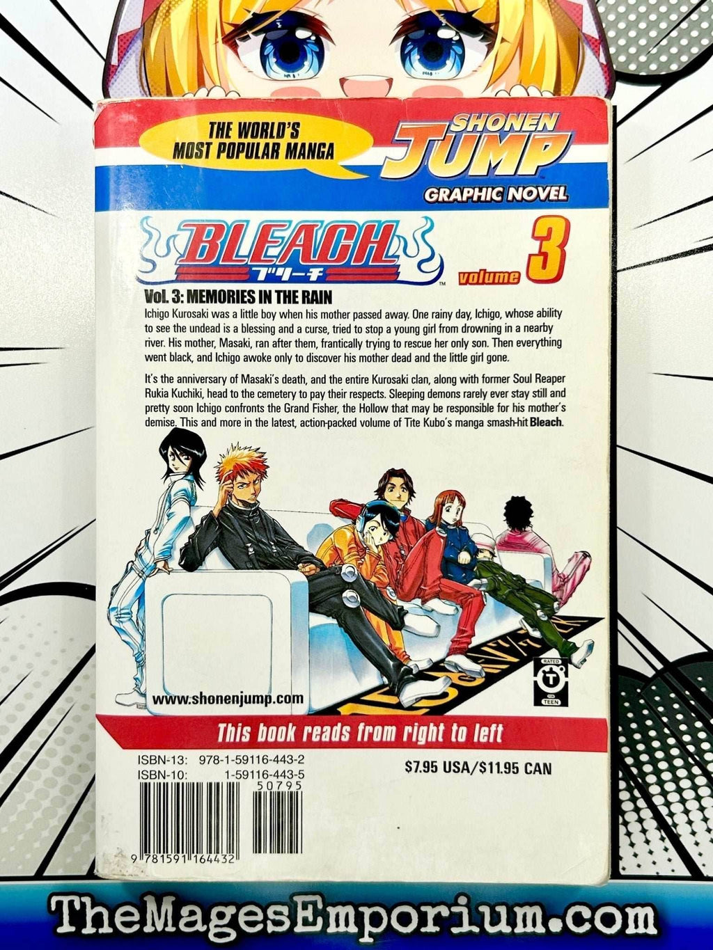 Bleach Vol 3 Ex Library - 