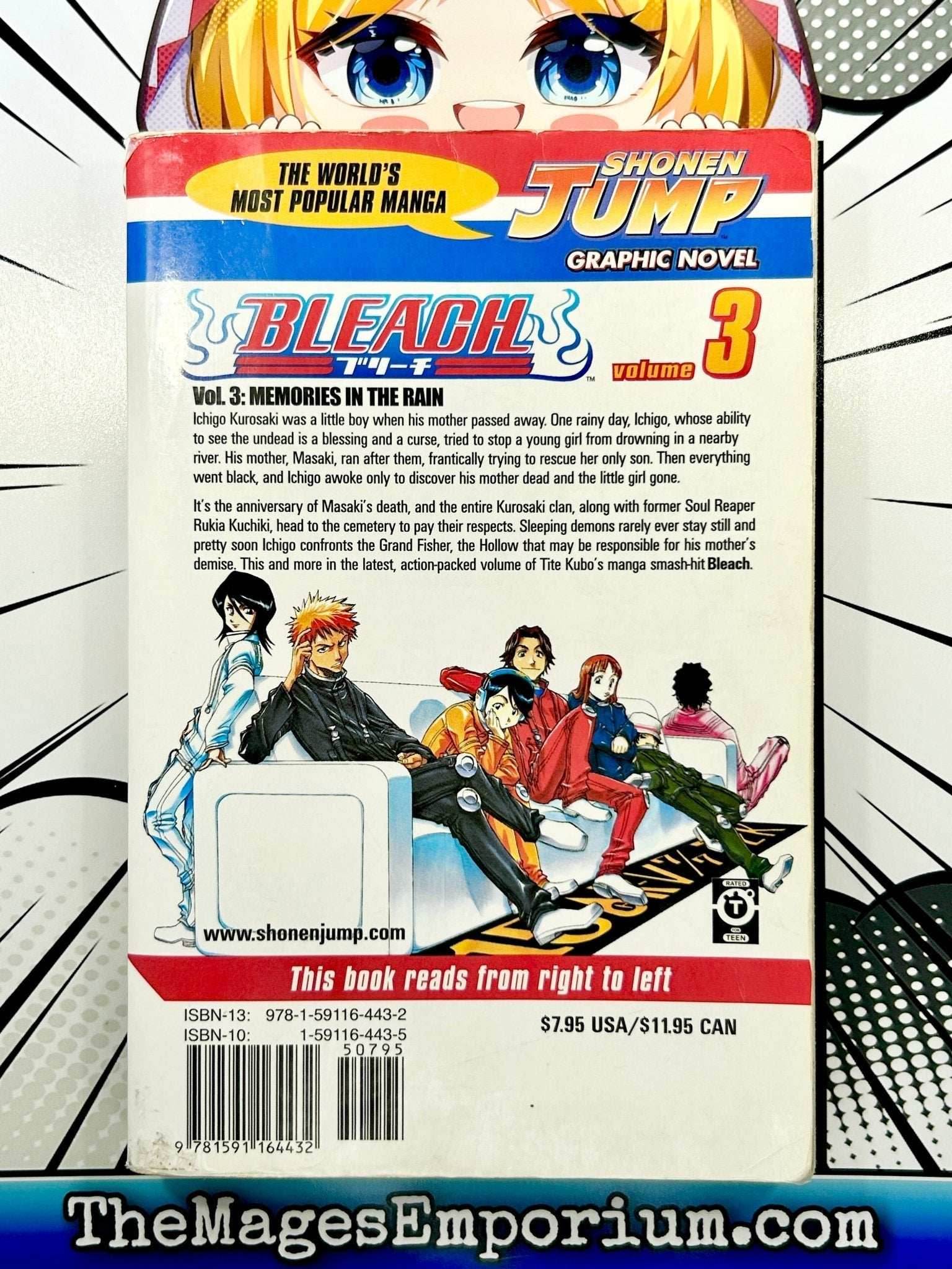 Bleach Vol 3 Ex Library - 
