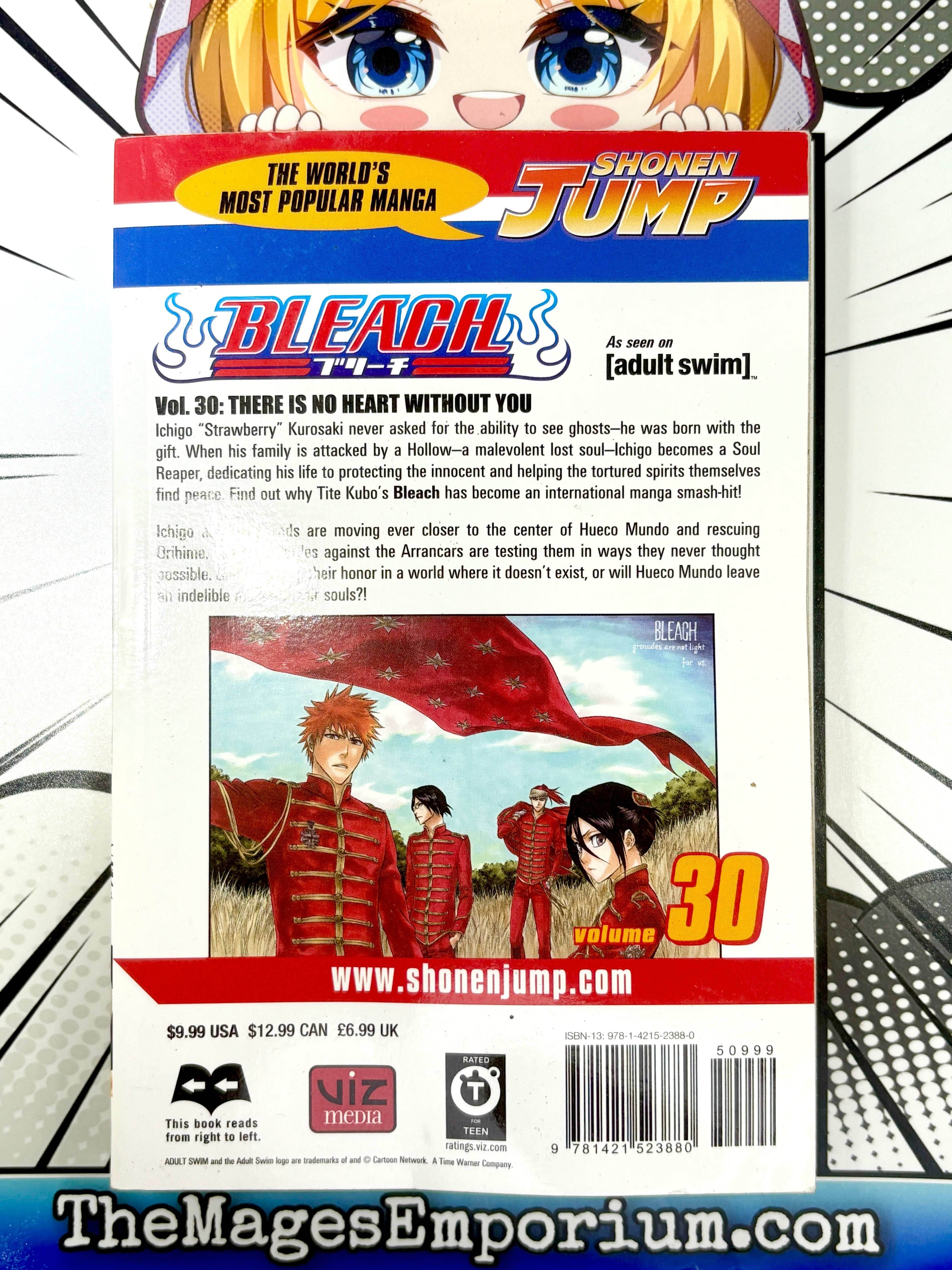 Bleach Vol 30 - 