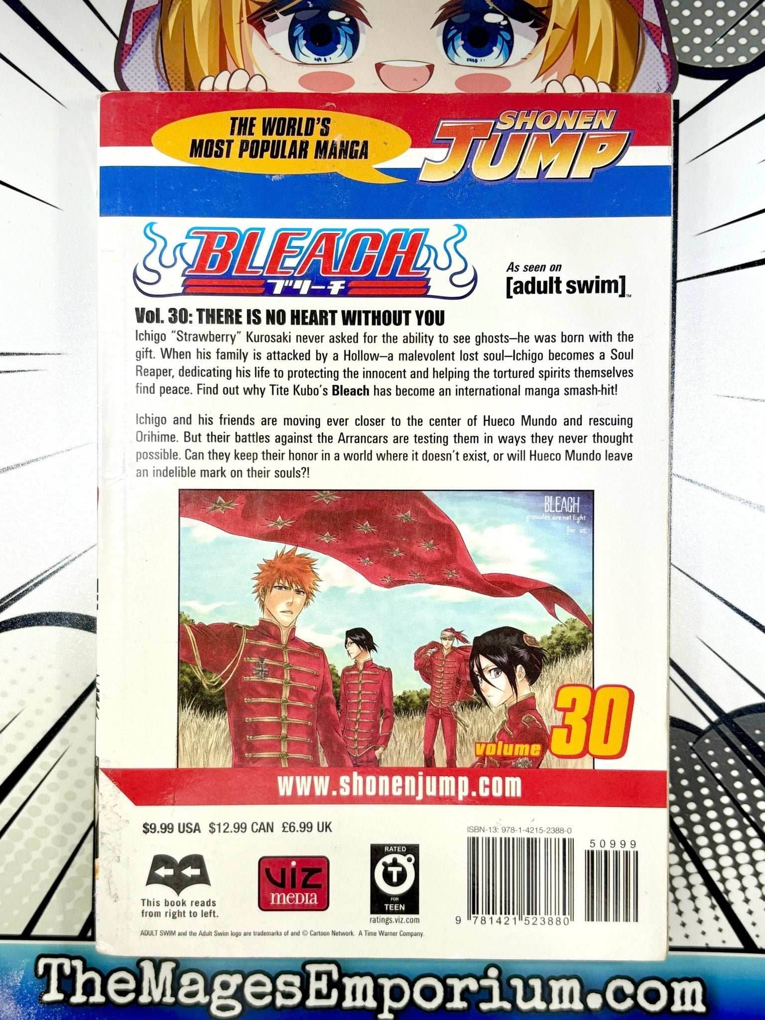 Bleach Vol 30 Ex Library - 