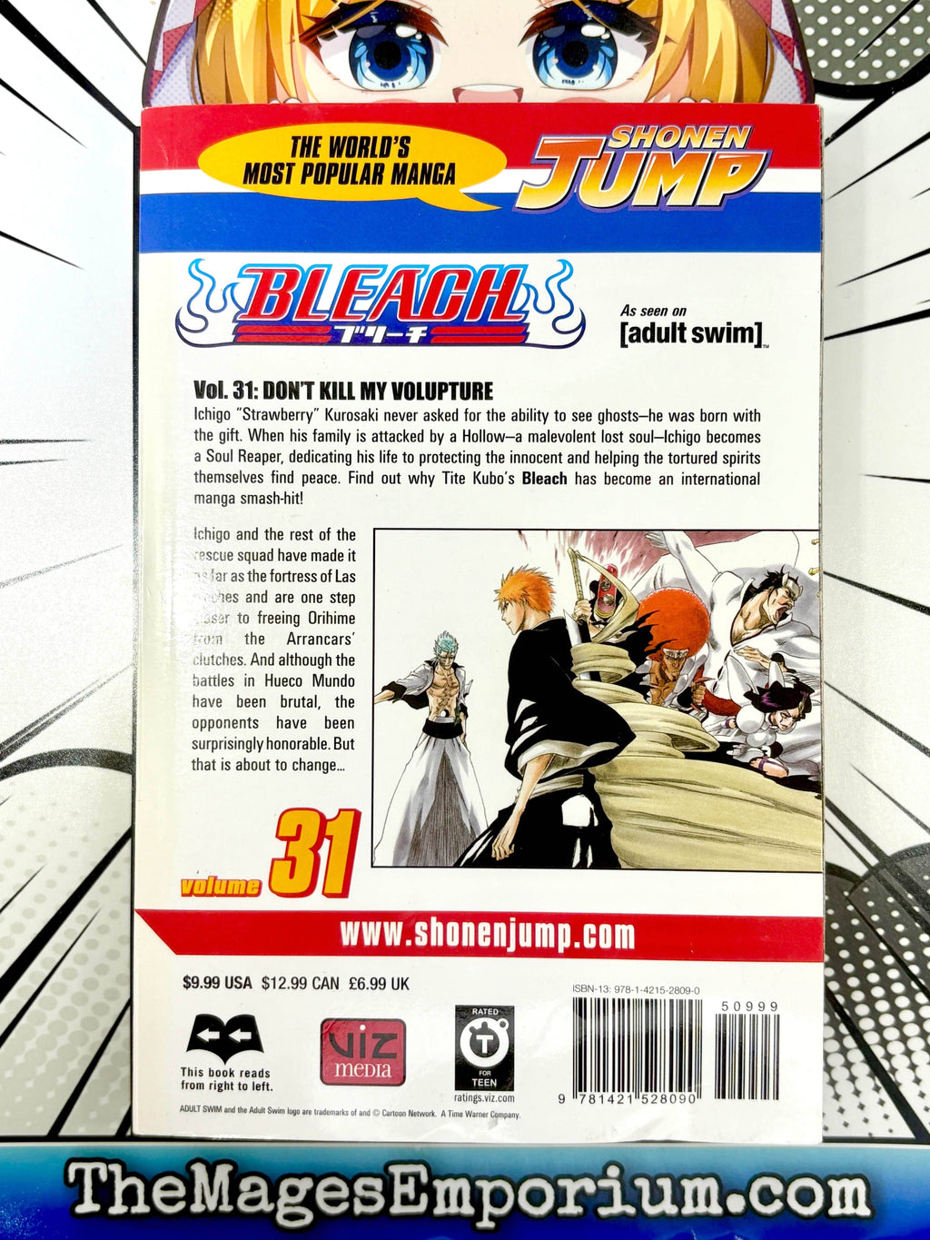 Bleach Vol 31 - 