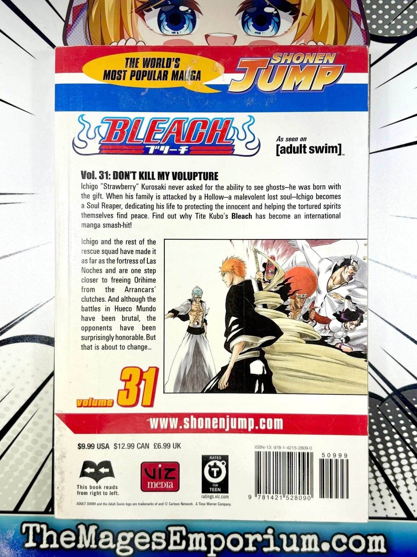 Bleach Vol 31 Ex Library - 