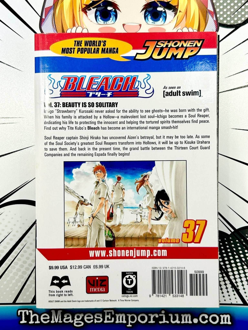 Bleach Vol 37 - 