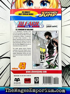 Bleach Vol 43 - 