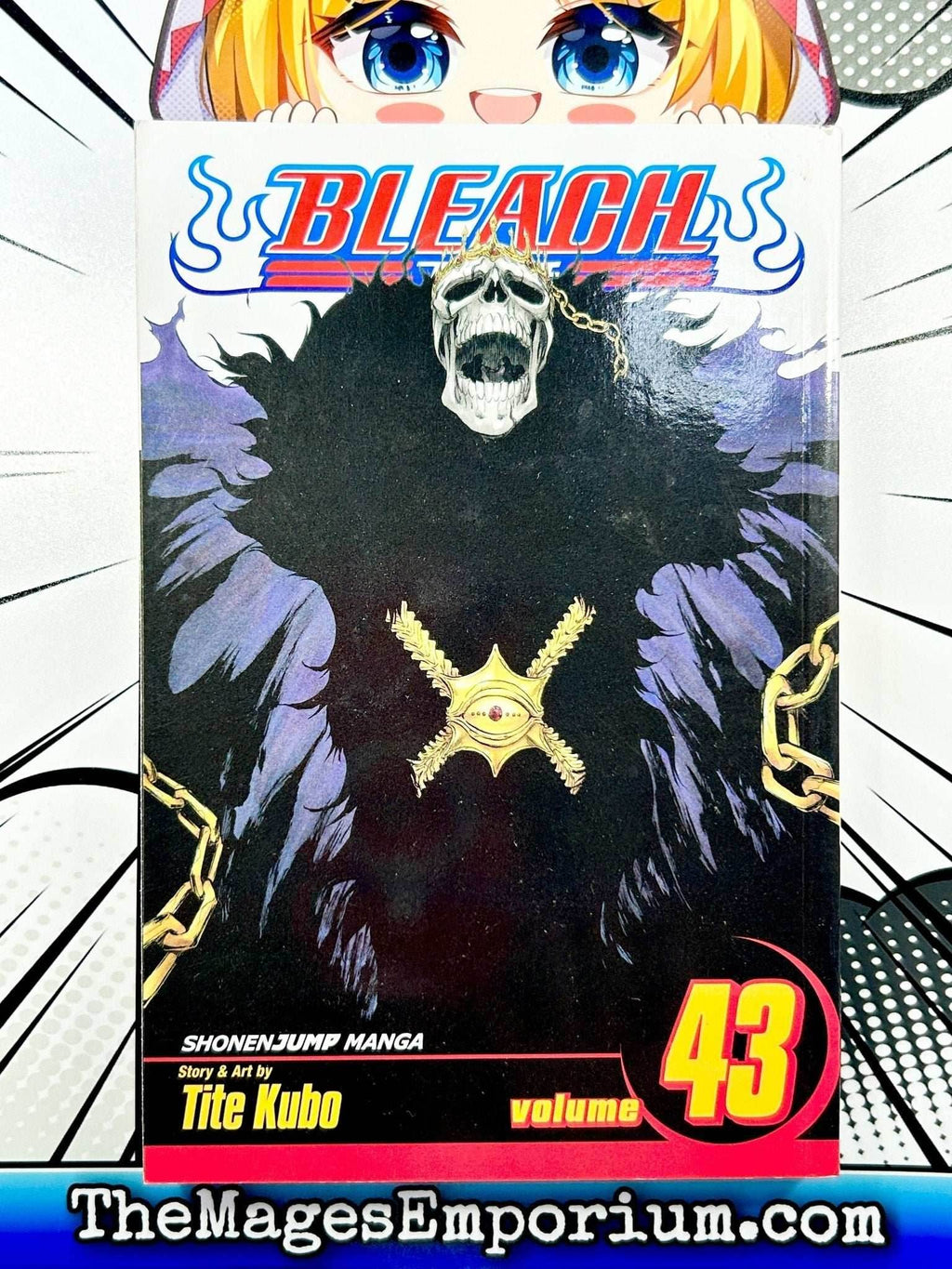 Bleach Vol 43 - 
