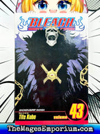 Bleach Vol 43 - 