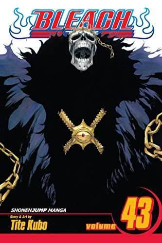 Bleach Vol 43 - 