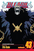 Bleach Vol 43 - 