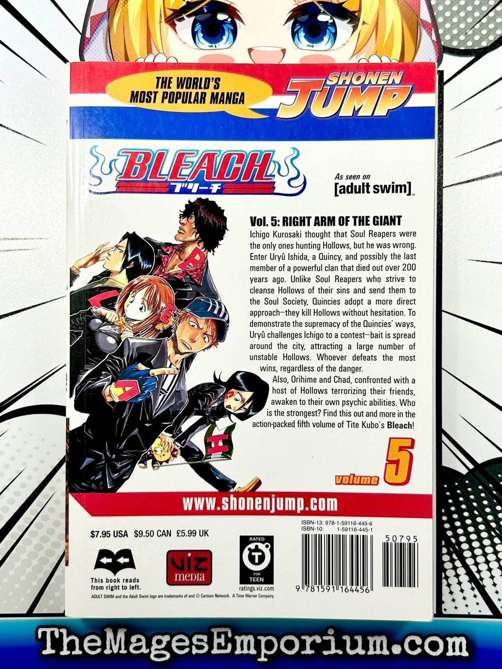 Bleach Vol 5 - 