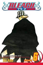 Bleach Vol 6 - 