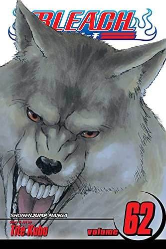 Bleach Vol 62 Ex Library - 