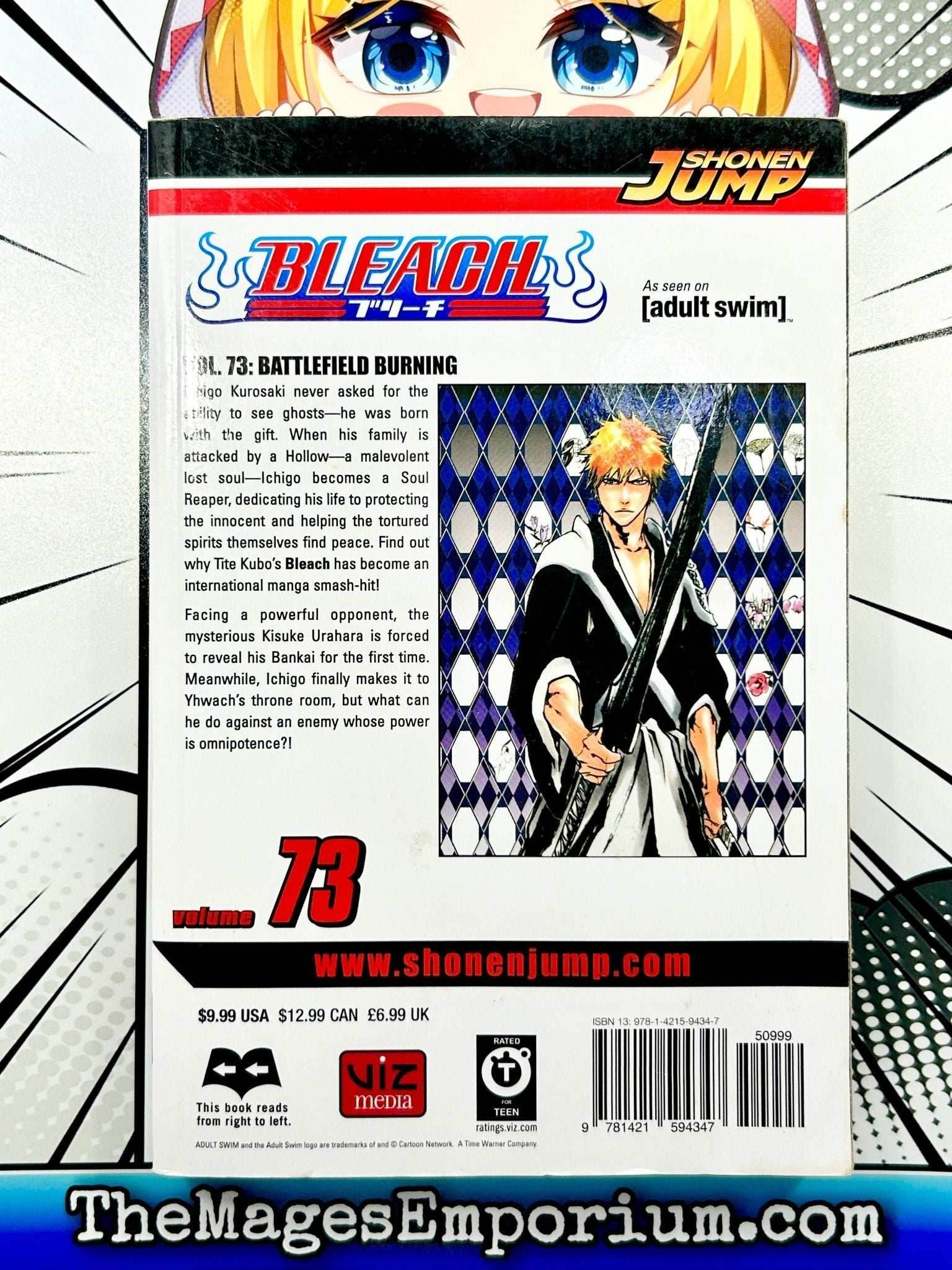 Bleach Vol 73 - 