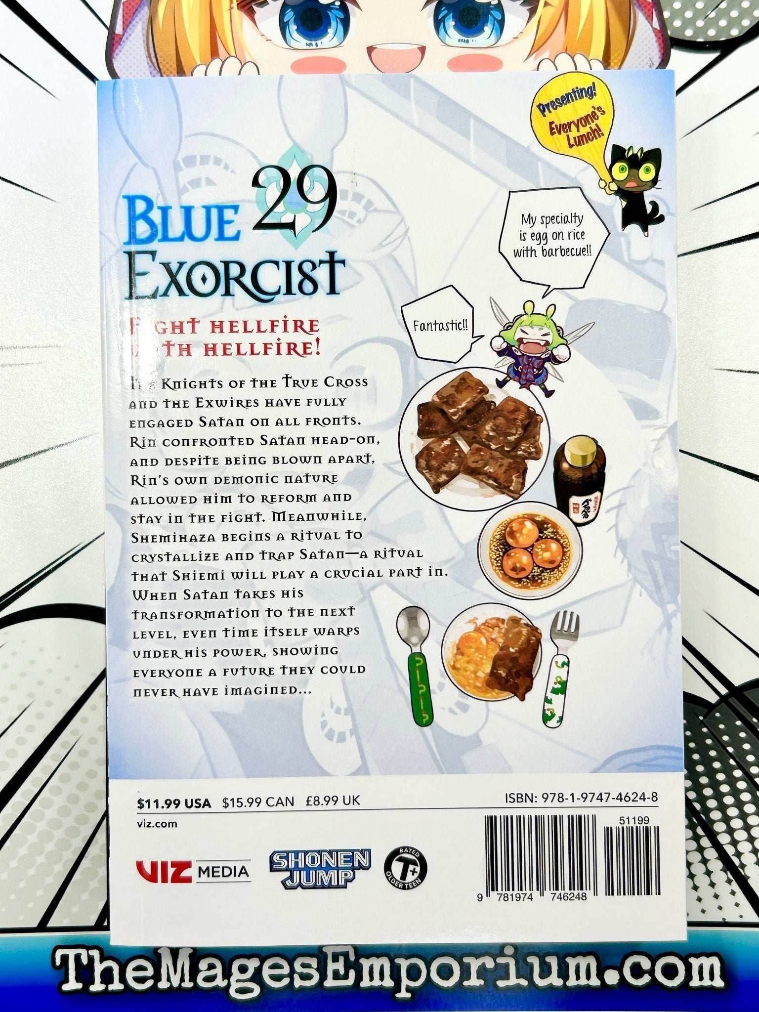 Blue Exorcist Vol 29 - 