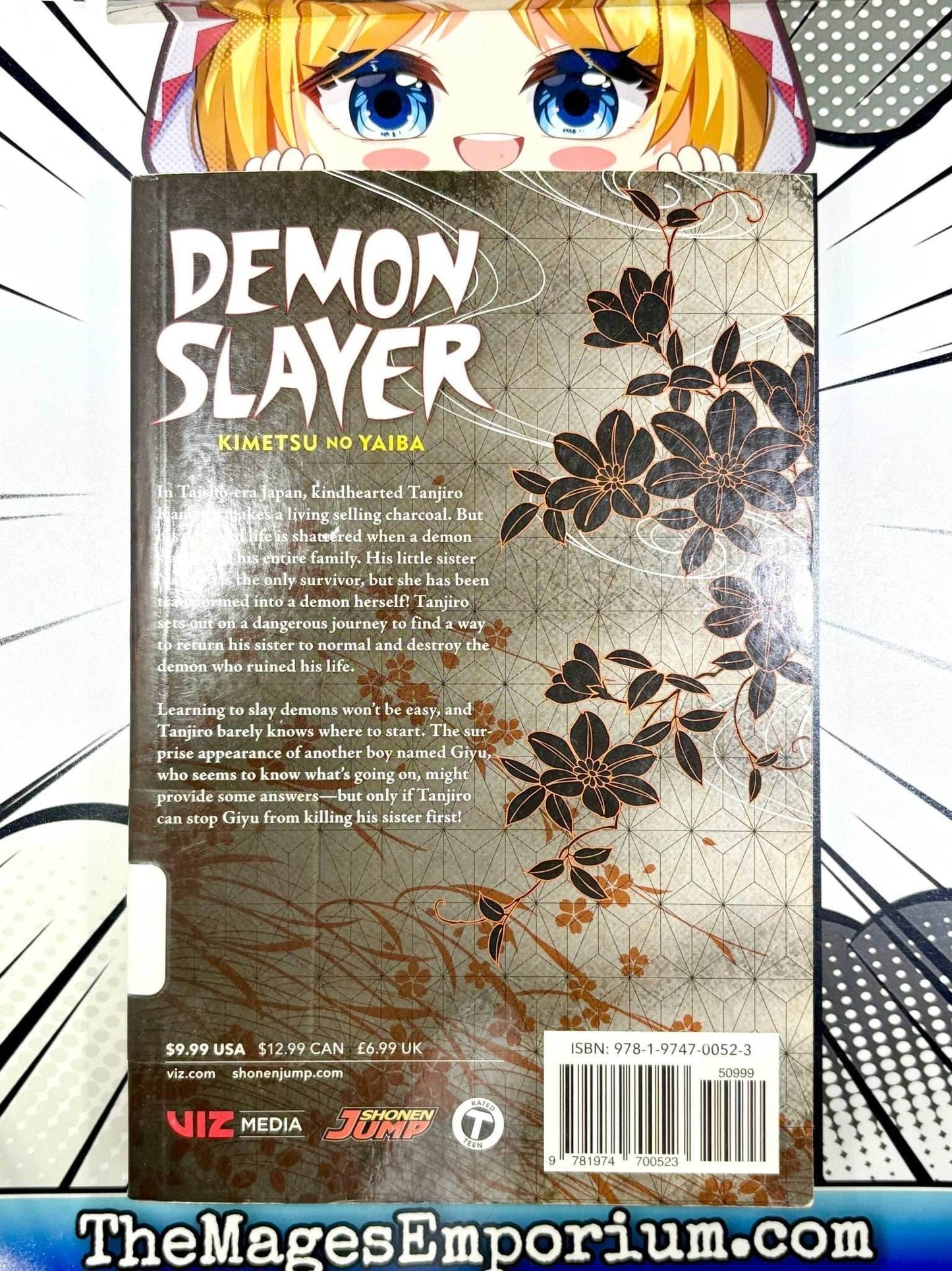 Demon Slayer Vol 1 Ex Library - 