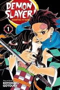 Demon Slayer Vol 1 Ex Library - 
