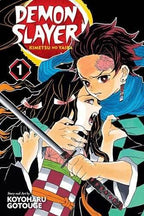Demon Slayer Vol 1 Ex Library - 